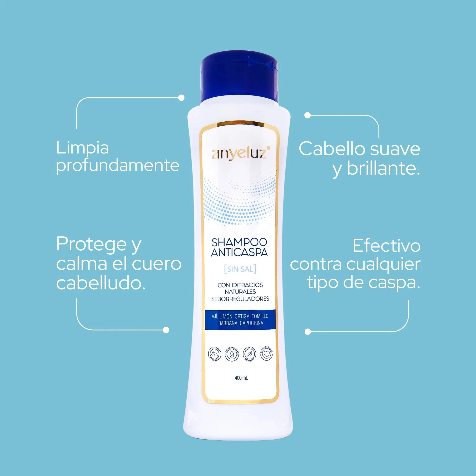 Anyeluz Dandruff Control Shampoo 400ml Oily Scalp Sebum Regulating