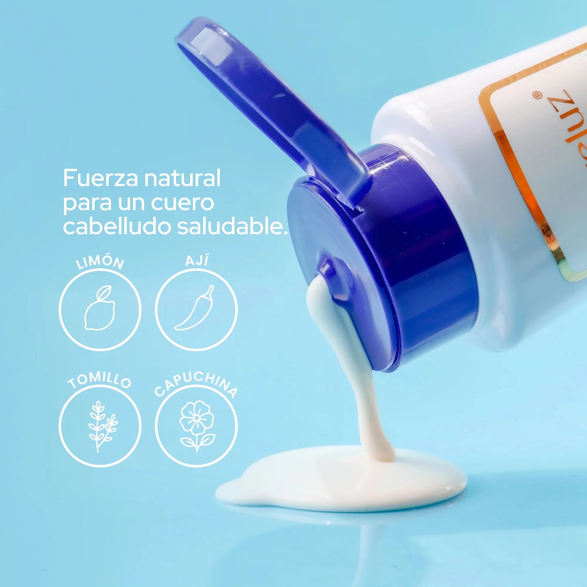Anyeluz Dandruff Control Shampoo 400ml Oily Scalp Sebum Regulating